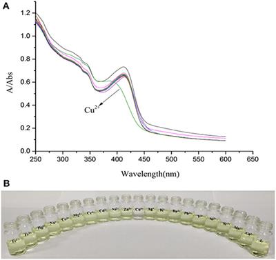 A Coumarin-Based Fluorescent Probe for Ratiometric Detection of Cu2+ and Its Application in Bioimaging